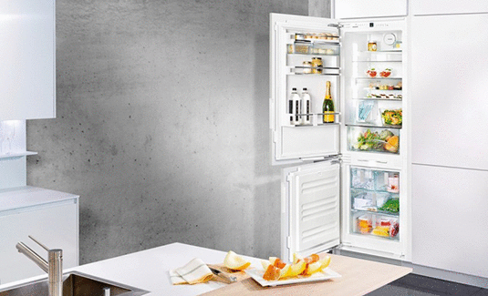 Выбираем встраиваемый холодильник